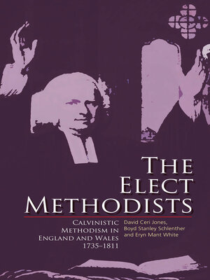 cover image of The Elect Methodists